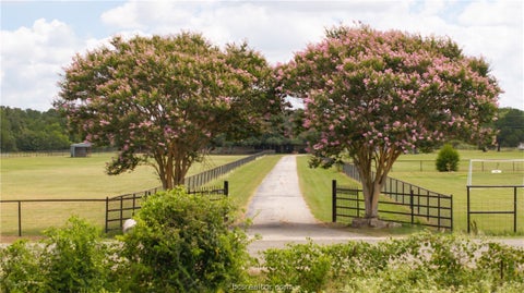 Tiny photo for 3434 Fazzino Lane, Bryan, TX 77807 (MLS # 26009212)
