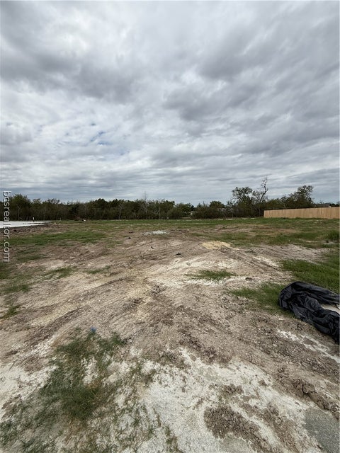 Photo of 2318 Pagosa Springs Drive, Bryan, TX 77803 (MLS # 26012592)