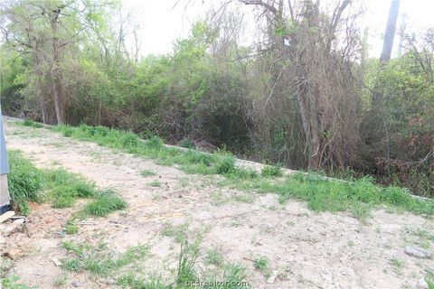 Tiny photo for 2189 Big River St, College Station, TX 77842 (MLS # 26001298)