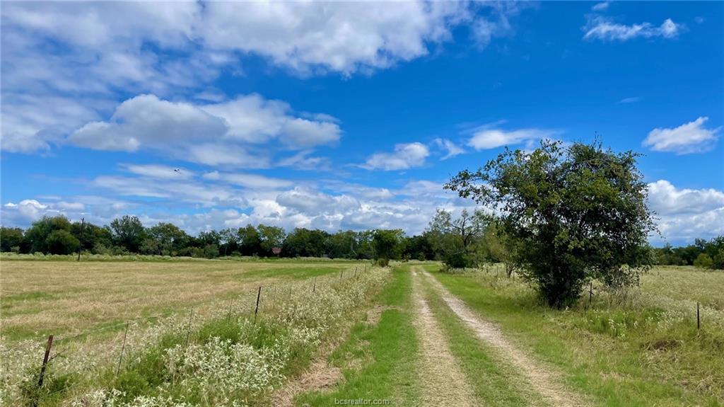 3871 Webb Cemetery Rd (+/- 53.738 ac)