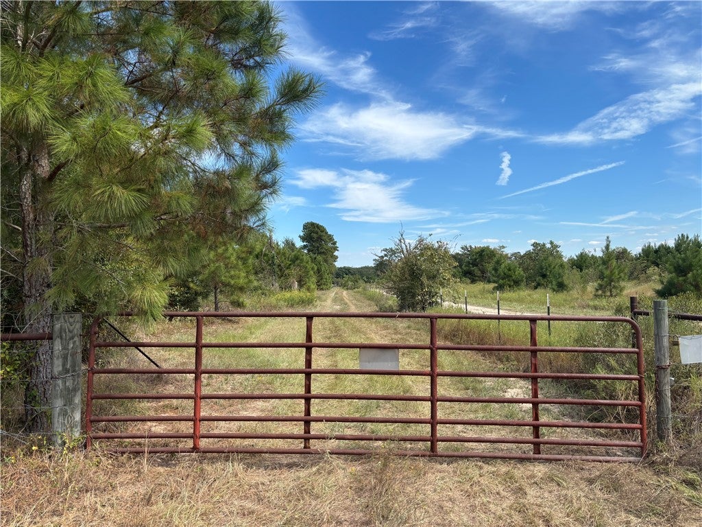 TBD County Road 304