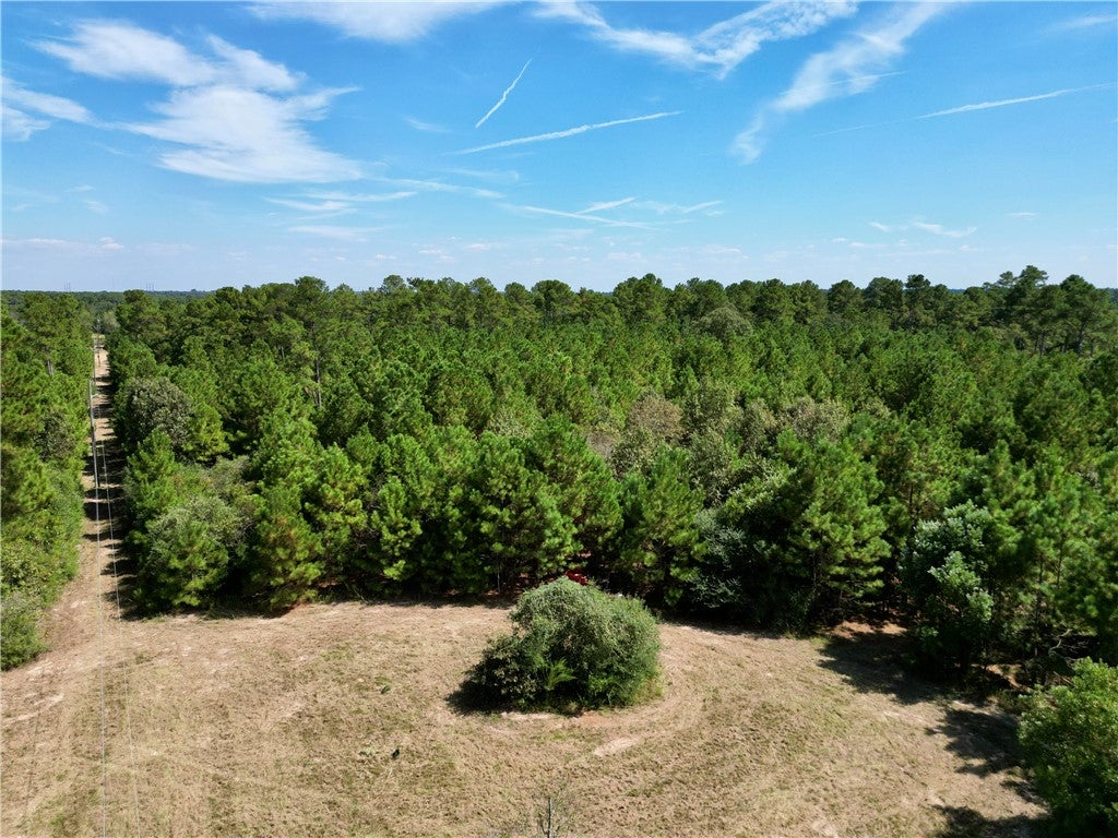 TBD County Road 304