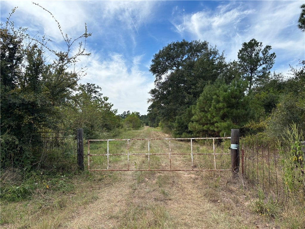 TBD County Road 304