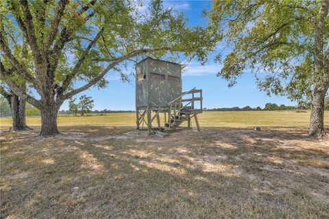Tiny photo for 8755 Greenbriar Road, Madisonville, TX 77864 (MLS # 25010490)