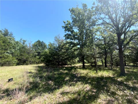 Tiny photo for 545 Cranberry Road, Somerville, TX 77879 (MLS # 26005890)