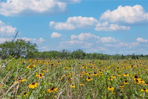 Tiny photo for 10482 County Road 276, Somerville, TX 77879 (MLS # 26005718)