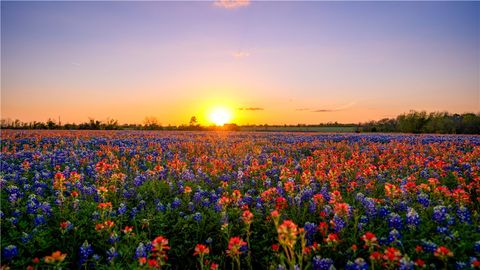 5107 Bovista Ranch Road Navasota TX 77868