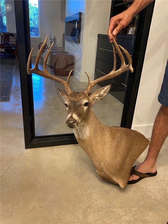 90+/- Acres Turner Ln