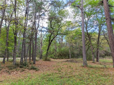 Tiny photo for 15777 Post Oak Road, Plantersville, TX 77363 (MLS # 26003988)