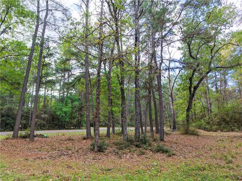 Tiny photo for 15777 Post Oak Road, Plantersville, TX 77363 (MLS # 26003988)