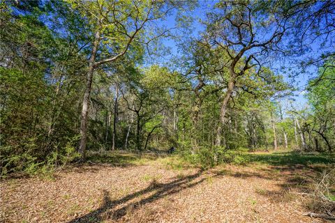 Tiny photo for 15777 Post Oak Road, Plantersville, TX 77363 (MLS # 26003988)