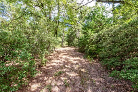 Tiny photo for 1004 22 Hills Rd St, Gause, TX 77857 (MLS # 26010399)