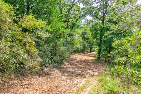 Tiny photo for 1004 22 Hills Rd St, Gause, TX 77857 (MLS # 26010399)