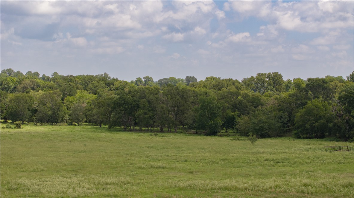 Kosse, Texas 76653, United States, ,Land,Active,178615