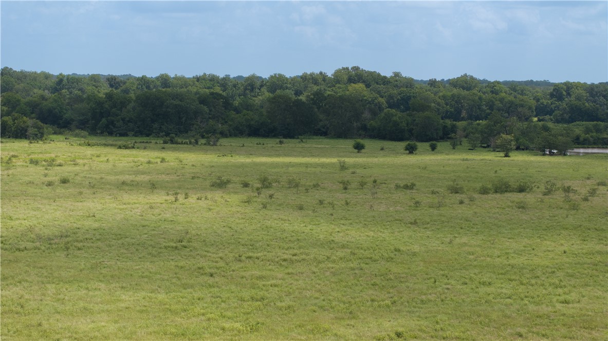 Kosse, Texas 76653, United States, ,Land,Active,178615