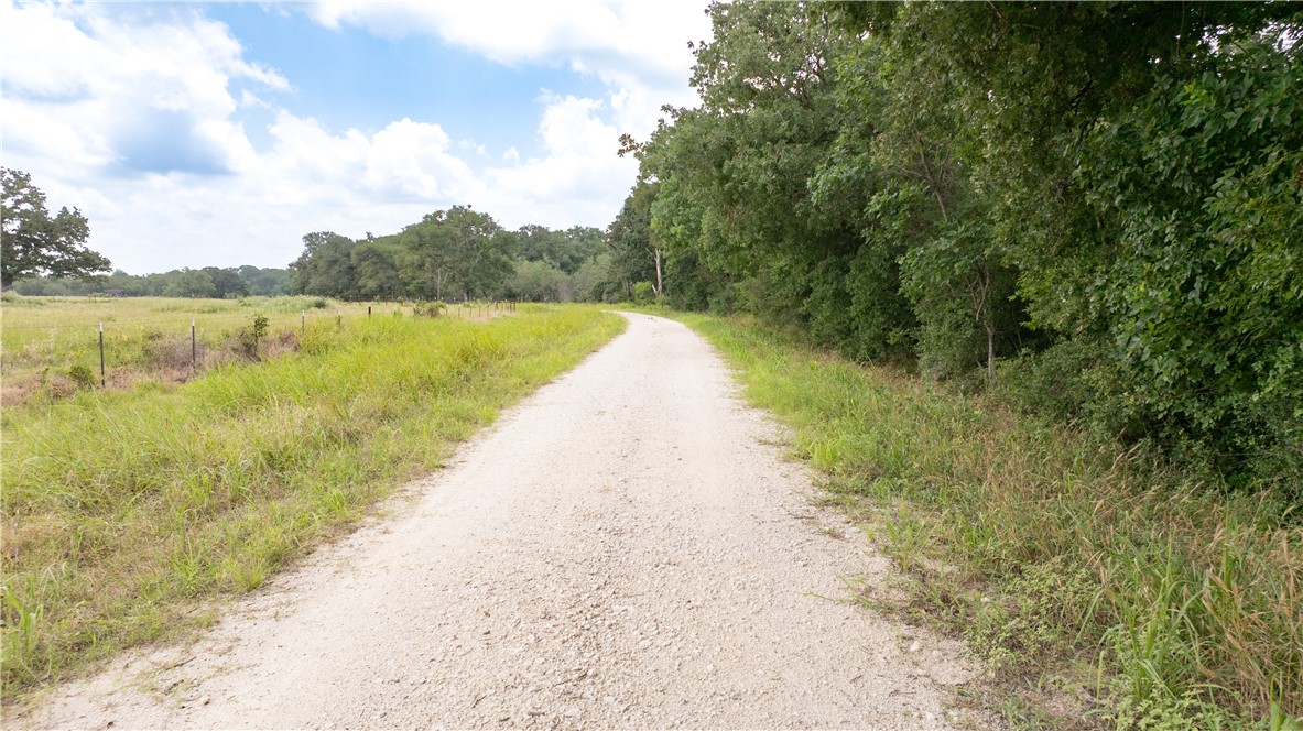 Kosse, Texas 76653, United States, ,Land,Active,178615