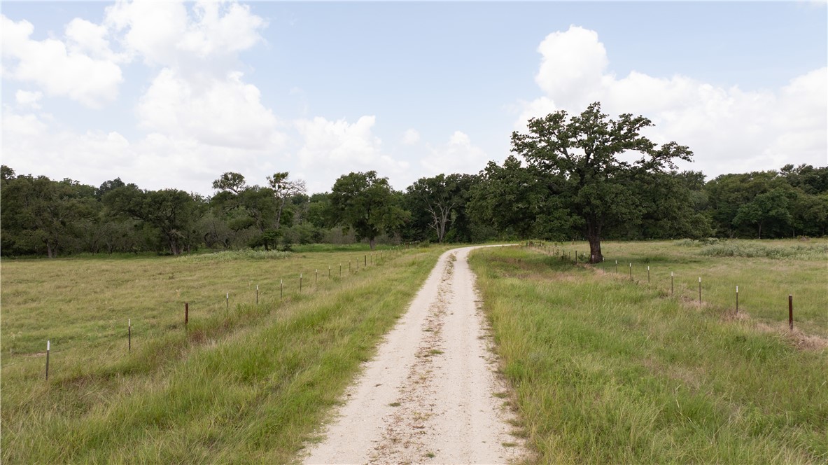 Kosse, Texas 76653, United States, ,Land,Active,178615