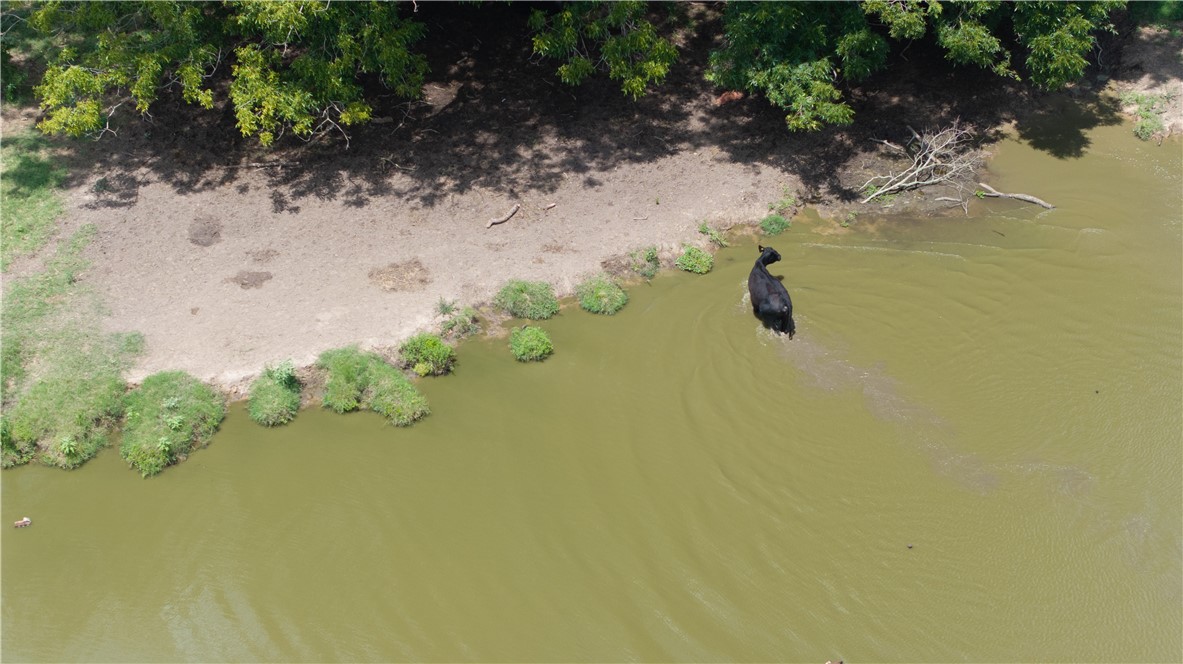 Kosse, Texas 76653, United States, ,Land,Active,178615