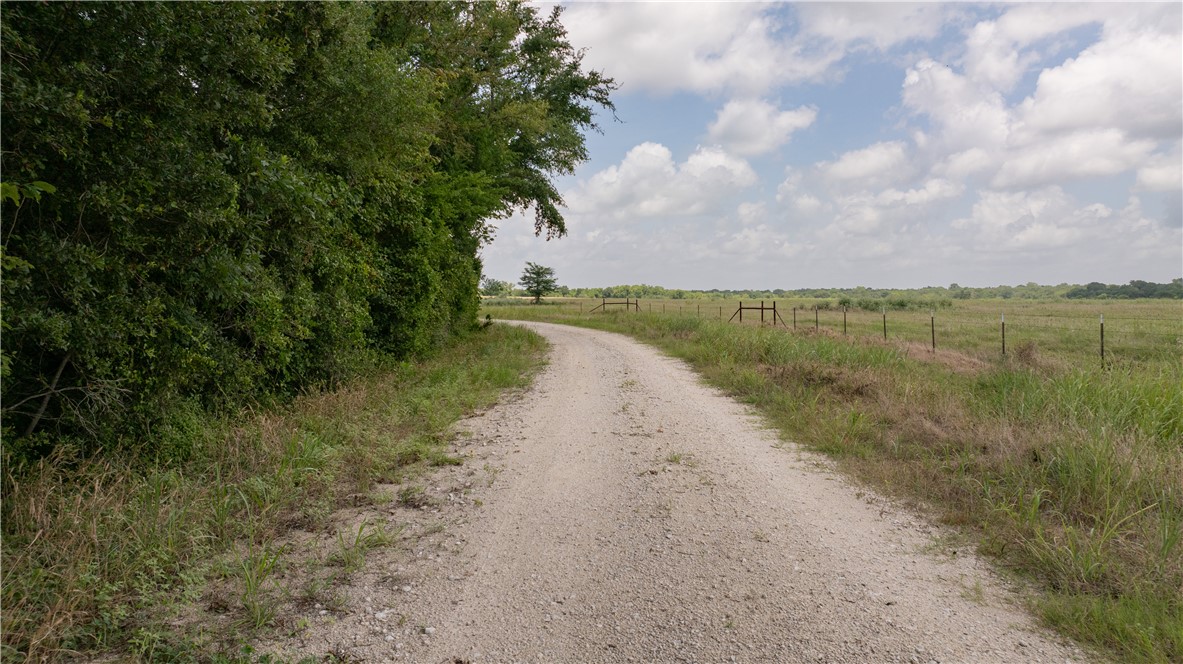 Kosse, Texas 76653, United States, ,Land,Active,178615