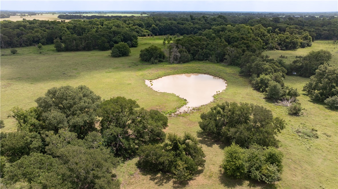 Kosse, Texas 76653, United States, ,Land,Active,178615