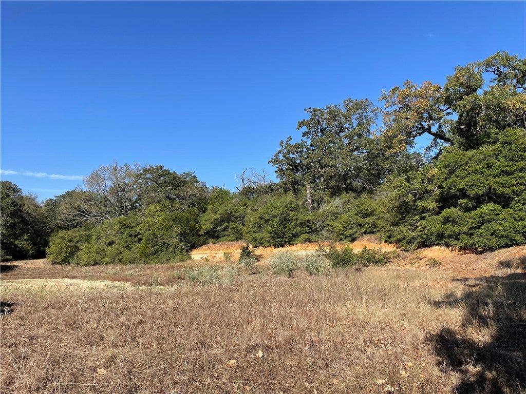 1813 Lone Star Lane