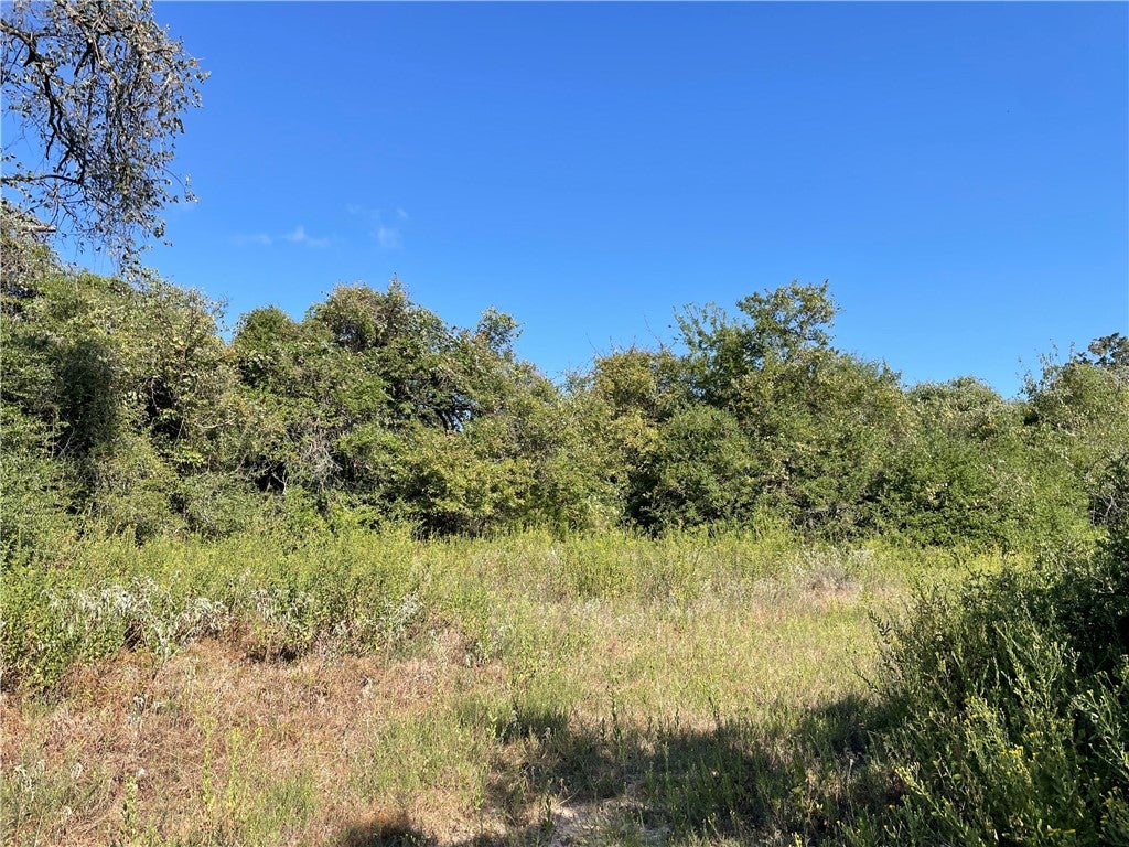 1813 Lone Star Lane