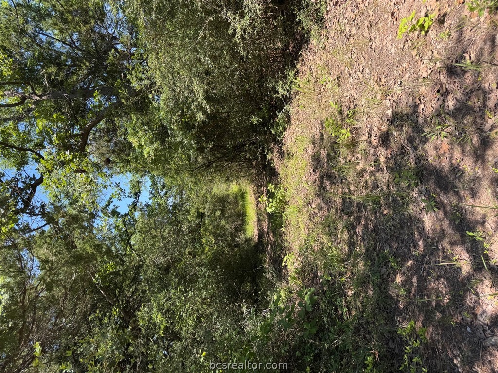 3454 Co Rd 426