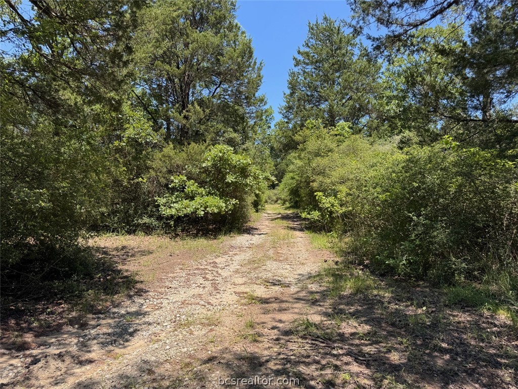 3454 Co Rd 426