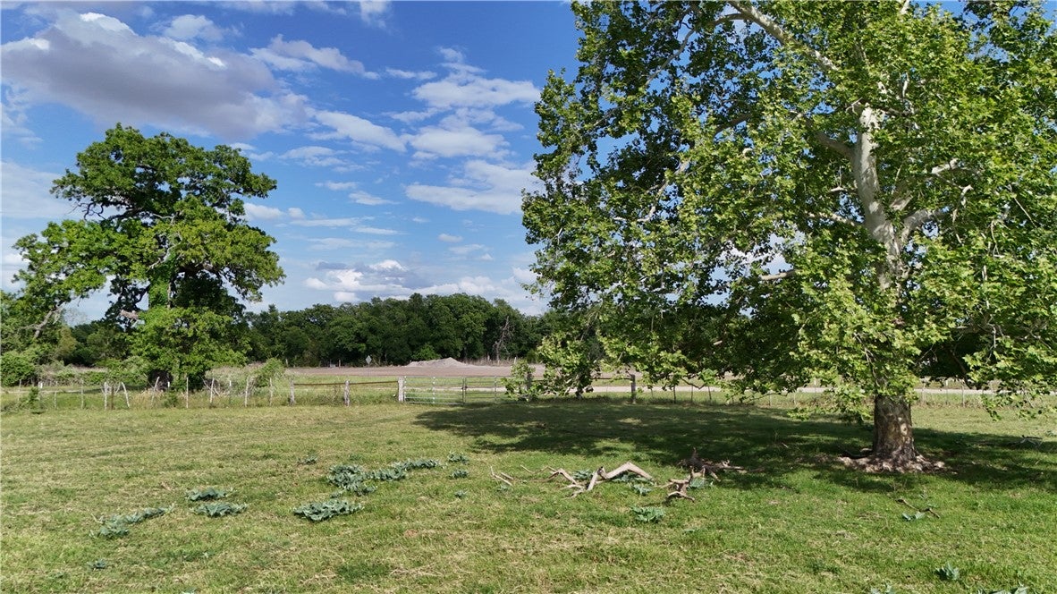 TBD CR 495 and FM 320 (+/-60 acres)