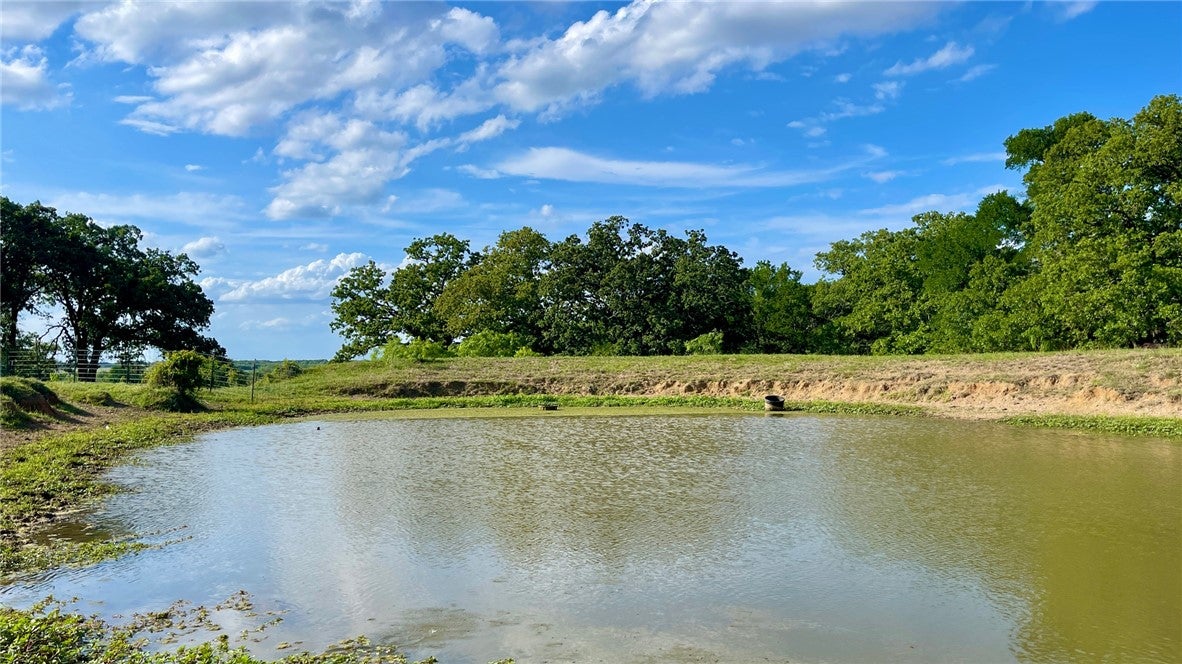 TBD CR 495 and FM 320 (+/-60 acres)