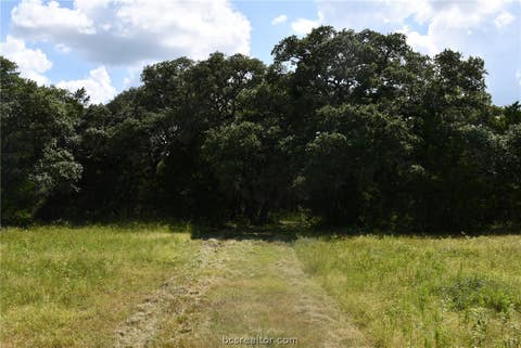 Tiny photo for 14600 FM 530, Other, TX 77964 (MLS # 26010143)