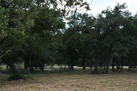 Tiny photo for 14600 FM 530, Other, TX 77964 (MLS # 26010143)