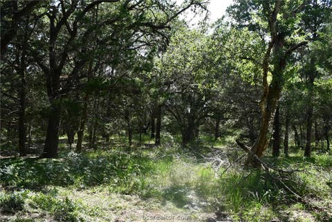 Tiny photo for 14600 FM 530, Other, TX 77964 (MLS # 26010143)
