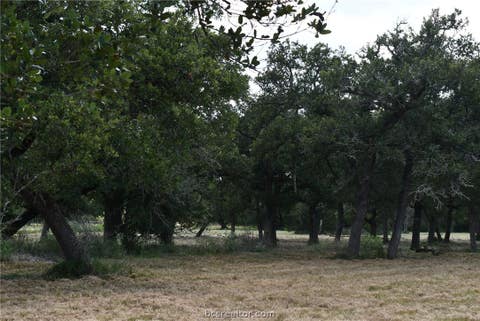 Tiny photo for 14600 FM 530, Other, TX 77964 (MLS # 26010143)