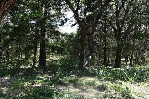Tiny photo for 14600 FM 530, Other, TX 77964 (MLS # 26010143)