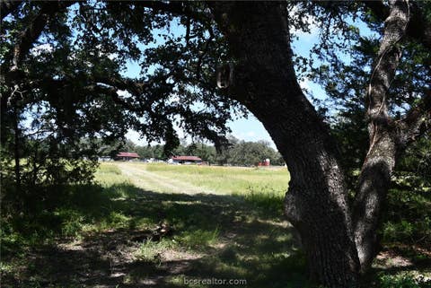 Tiny photo for 14600 FM 530, Other, TX 77964 (MLS # 26010143)