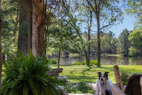 Tiny photo for 3702 County Road 151, Bedias, TX 77831 (MLS # 26003626)