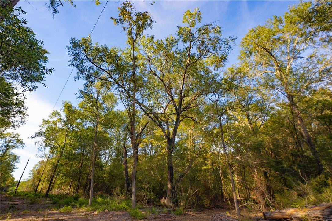 12416 Red Hill Rd, Lot 11 CountyRoad