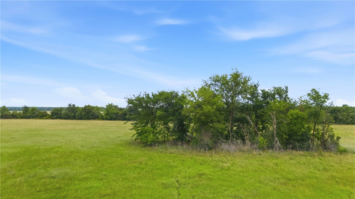 Lot 3 1146