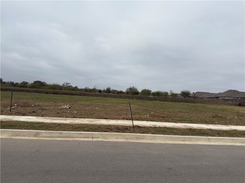 Tiny photo for 5502 Harriet Street, Bryan, TX 77807 (MLS # 25012971)