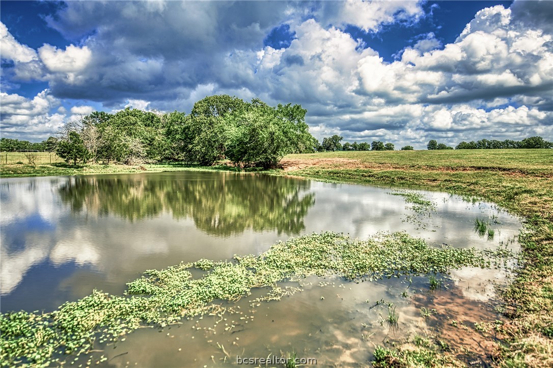 11532 County Road 408