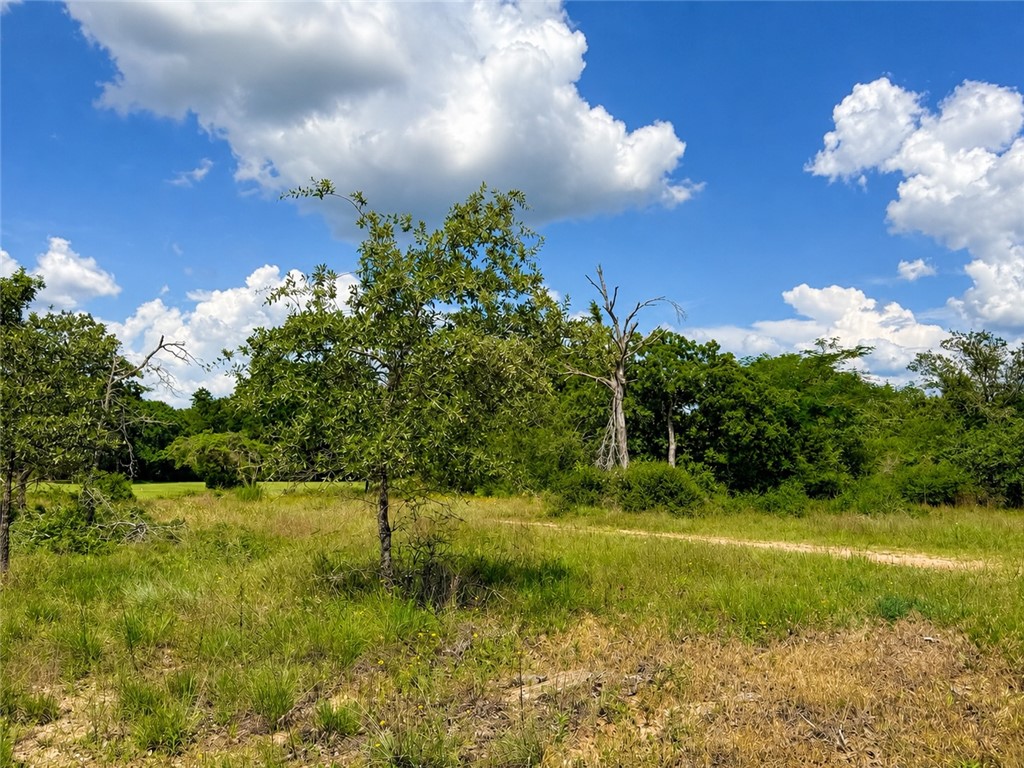 TBD Golf Way Lane