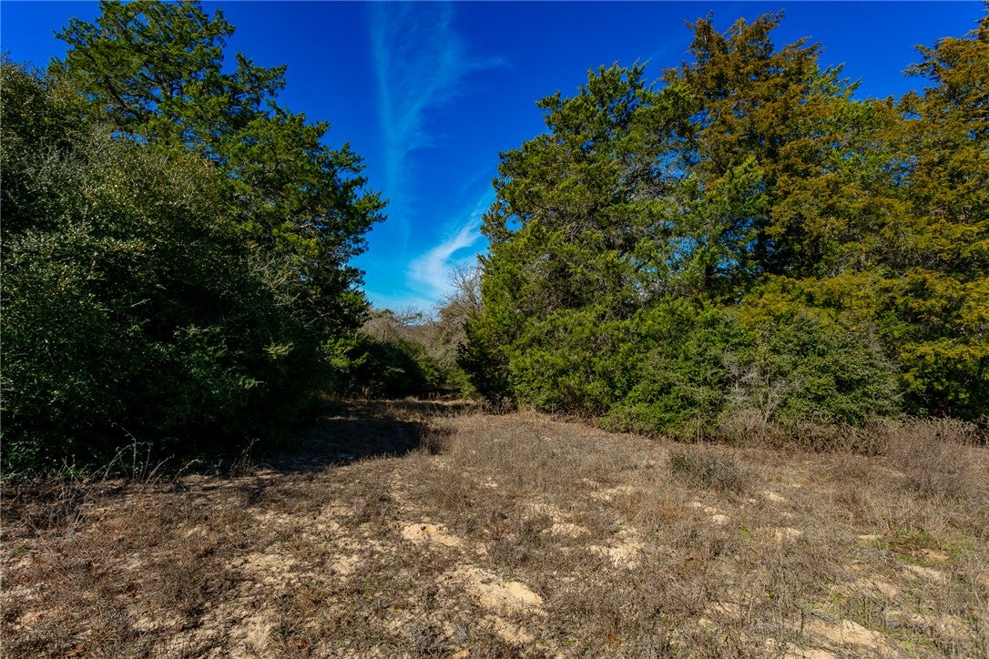 10162 County Road 321