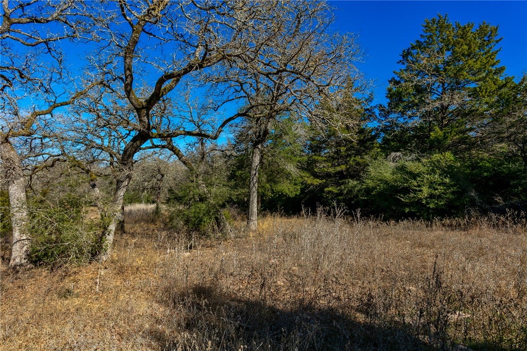 10162 County Road 321