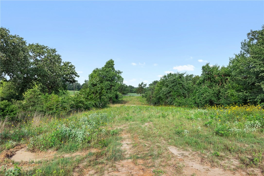 5163 County Road 358
