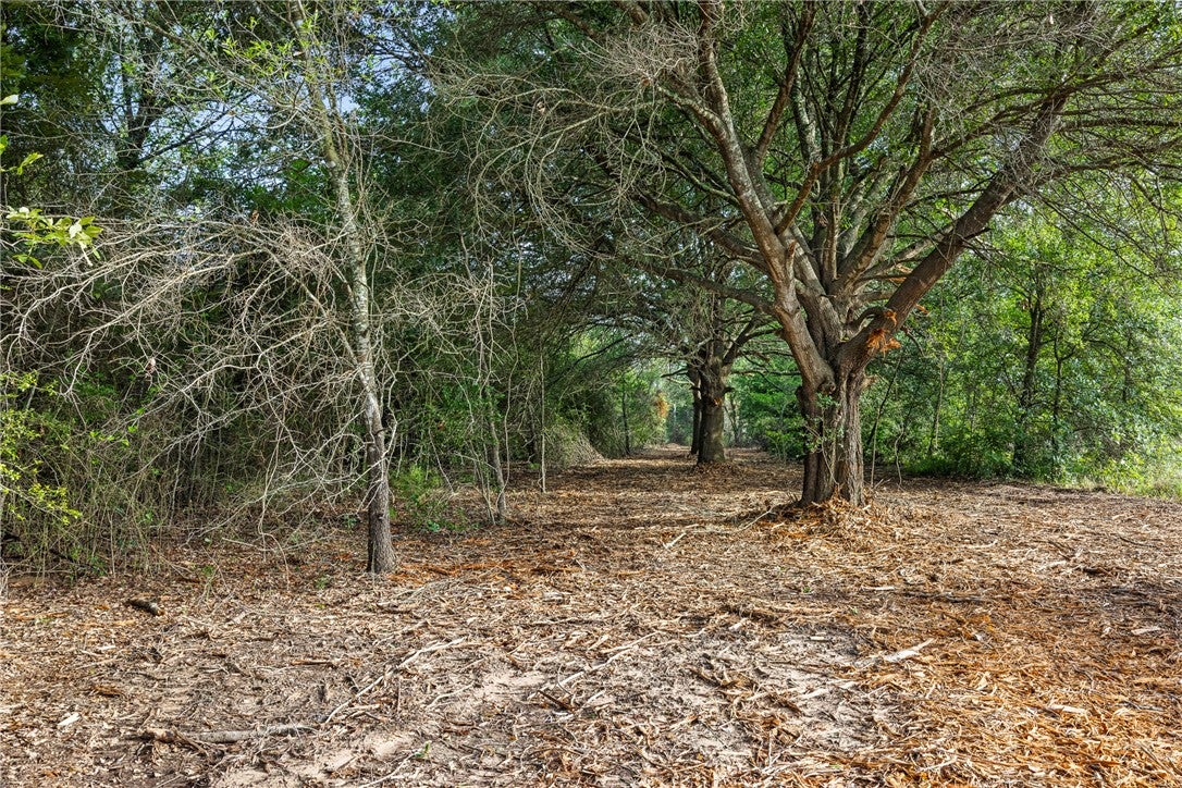5163 County Road 358