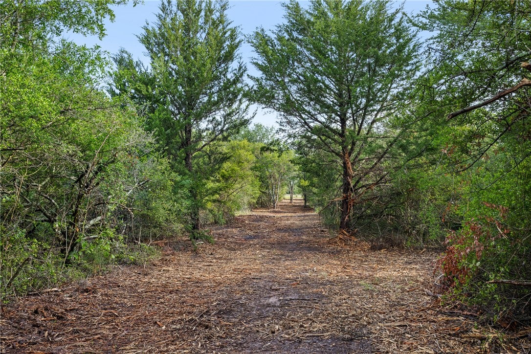 5163 County Road 358