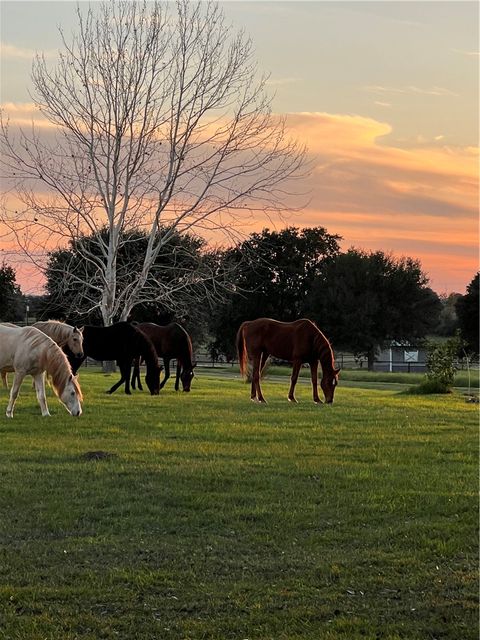 Tiny photo for 7872 N FM 1371, Bellville, TX 77418 (MLS # 26004485)