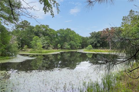 Tiny photo for 3906 County Road 157, Bedias, TX 77831 (MLS # 26005706)
