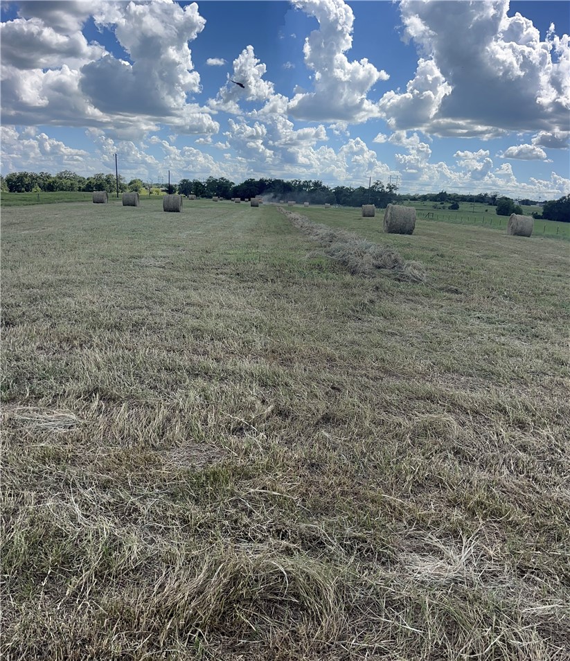 7303 Bickham Cemetery Road